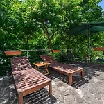 Pensiunea Casa Bono - Affittacamere