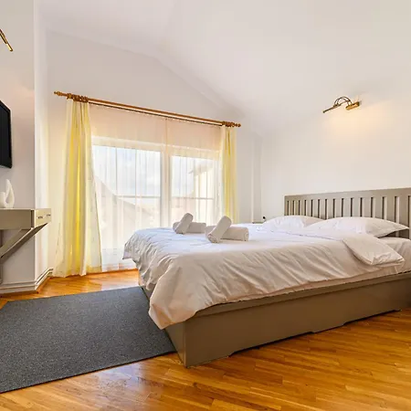 Pensiunea Casa Bono - Gæstehus