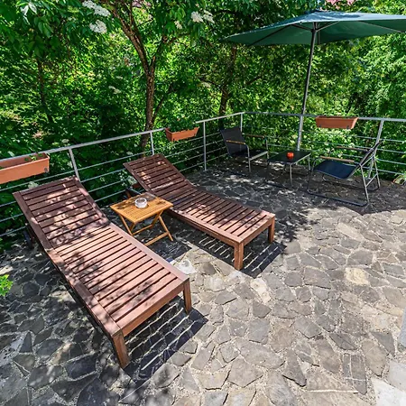 Pensiunea Casa Bono - Gæstehus Braşov