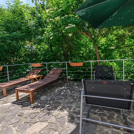 Guest house Pensiunea Casa Bono Brasov