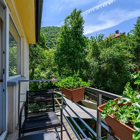 Gæstehus Pensiunea Casa Bono - 3*