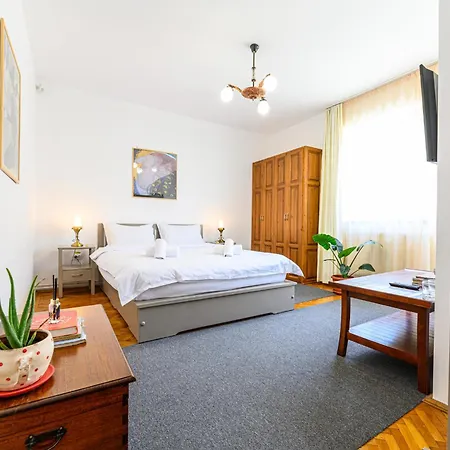 Pensiunea Casa Bono Guest house Brasov