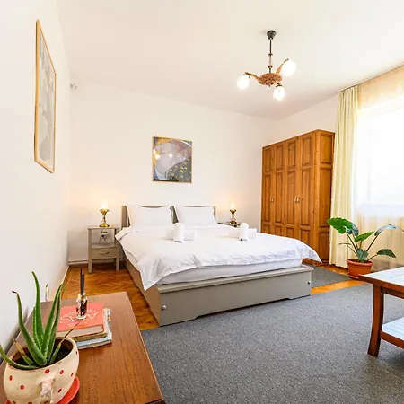 Gæstehus Pensiunea Casa Bono - Braşov