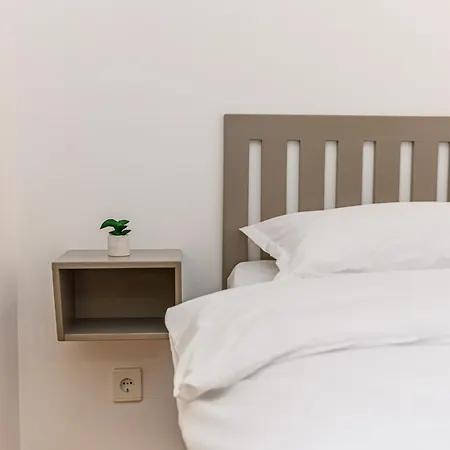 Pensiunea Casa Bono - Gæstehus