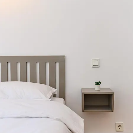 Pensiunea Casa Bono Guest house Brasov