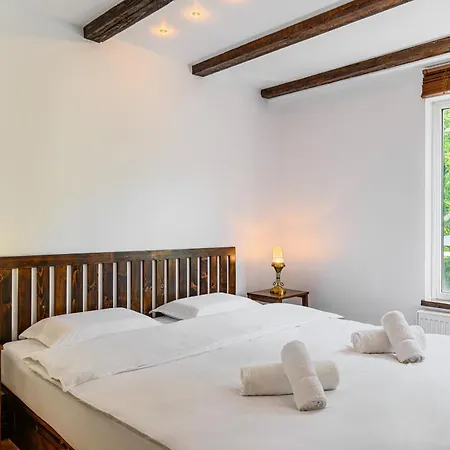 Pensiunea Casa Bono - Gæstehus