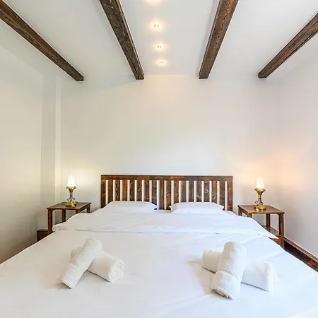Guest house Pensiunea Casa Bono