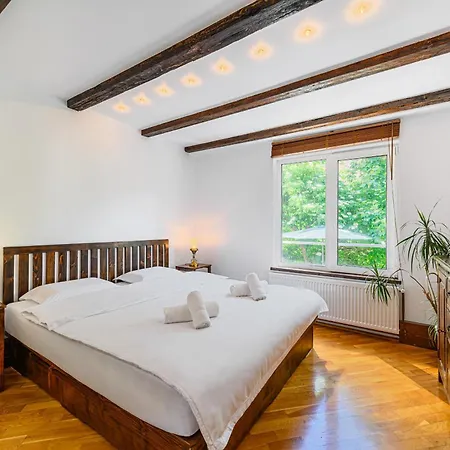 Pensiunea Casa Bono 招待所 3*