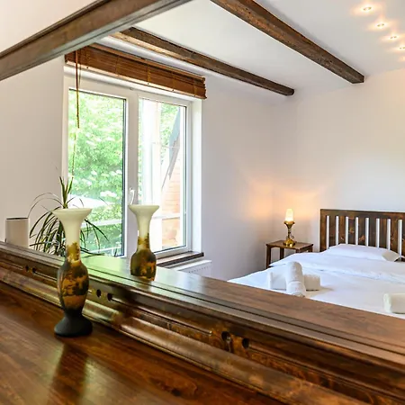 Guest house Pensiunea Casa Bono 3*