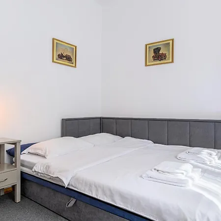 Pensiunea Casa Bono - Gæstehus