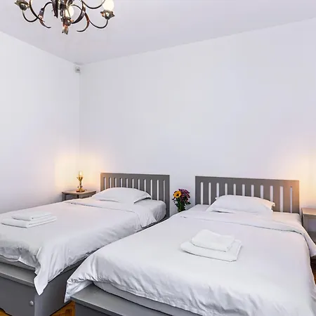 Guest house Pensiunea Casa Bono