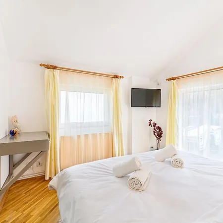 Pensiunea Casa Bono - Gæstehus