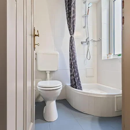 Pensiunea Casa Bono - Gæstehus