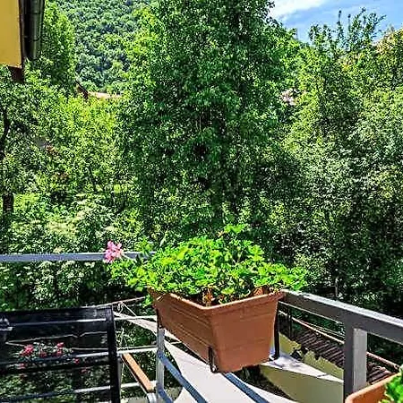 Гостевой дом Pensiunea Casa Bono -