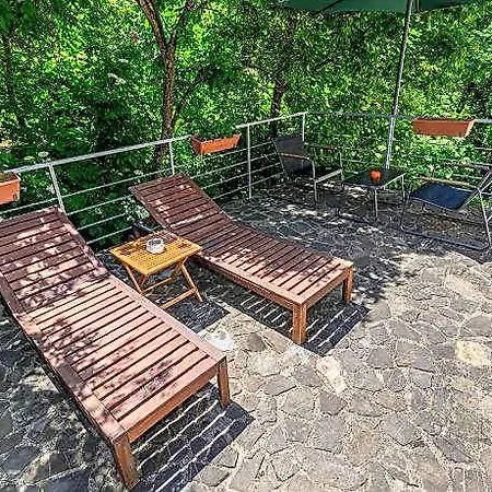 Pensiunea Casa Bono - Гостевой дом 3*