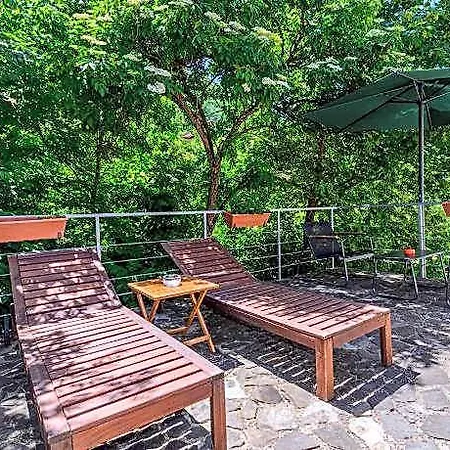Pensiunea Casa Bono - 3*