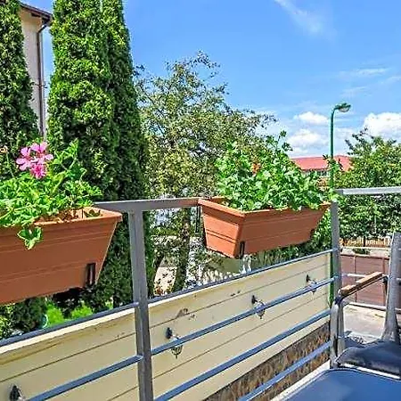 Pensiunea Casa Bono - 3*