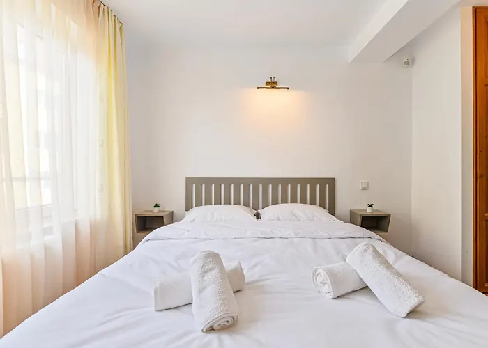 Guest house Pensiunea Casa Bono - Brasov