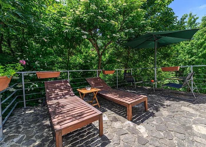 Pensiunea Casa Bono - Guest house