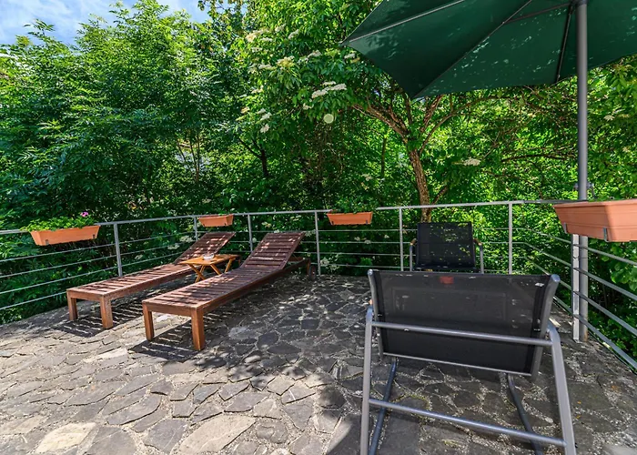 Guest house Pensiunea Casa Bono - Brasov