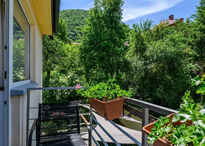 Guest house Pensiunea Casa Bono - 3*