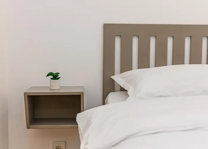 Pensiunea Casa Bono - Guest house