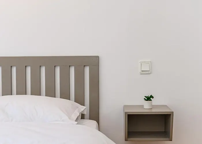 Pensiunea Casa Bono - Guest house Brasov