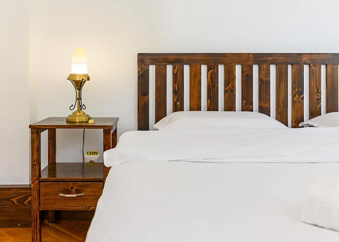 Pensiunea Casa Bono - Guest house Brasov