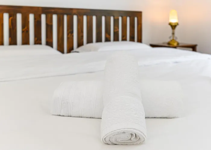 Pensiunea Casa Bono - Brasov