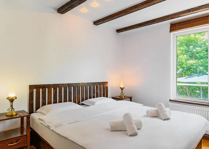 Pensiunea Casa Bono - Guest house