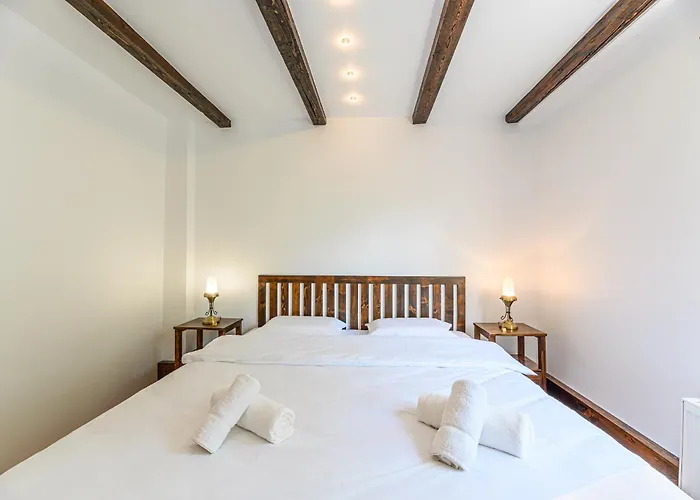 Guest house Pensiunea Casa Bono -