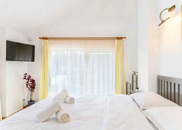 Guest house Pensiunea Casa Bono -