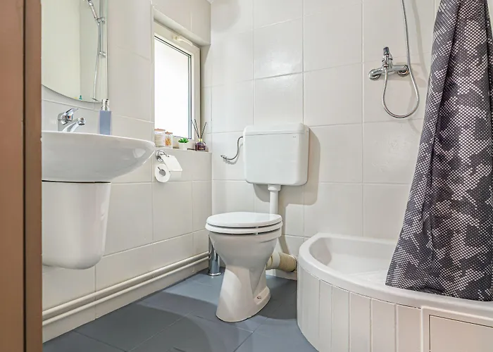 Guest house Pensiunea Casa Bono - Brasov