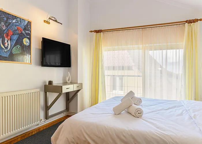 Pensiunea Casa Bono - Guest house Brasov