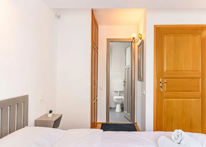 Guest house Pensiunea Casa Bono -