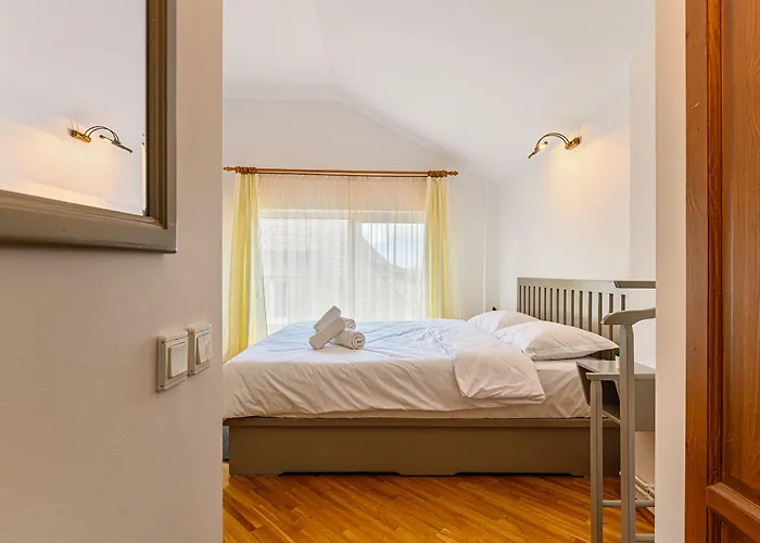 Pensiunea Casa Bono -